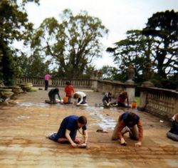 scrubbing terrace