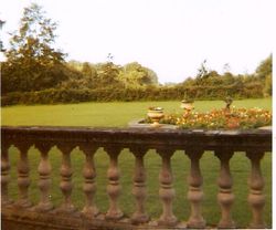garden from terrace
